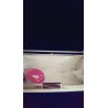 Clutch auriu de ocazie